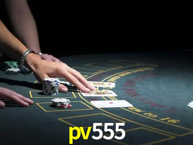 Security Systems pv555