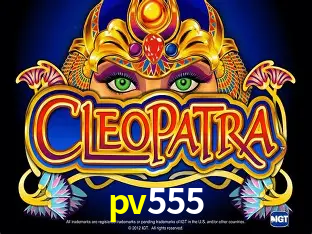 VIP Casino pv555