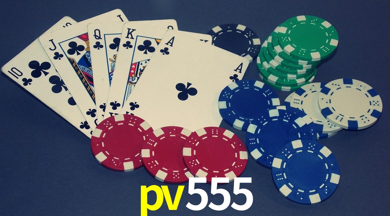 Bonus Features pv555